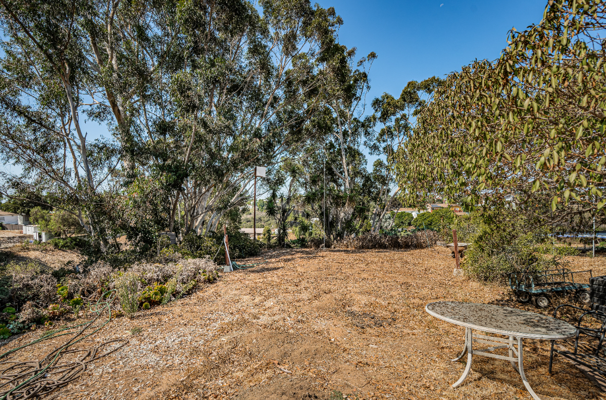 Charming Studio in North Park - Photo 5