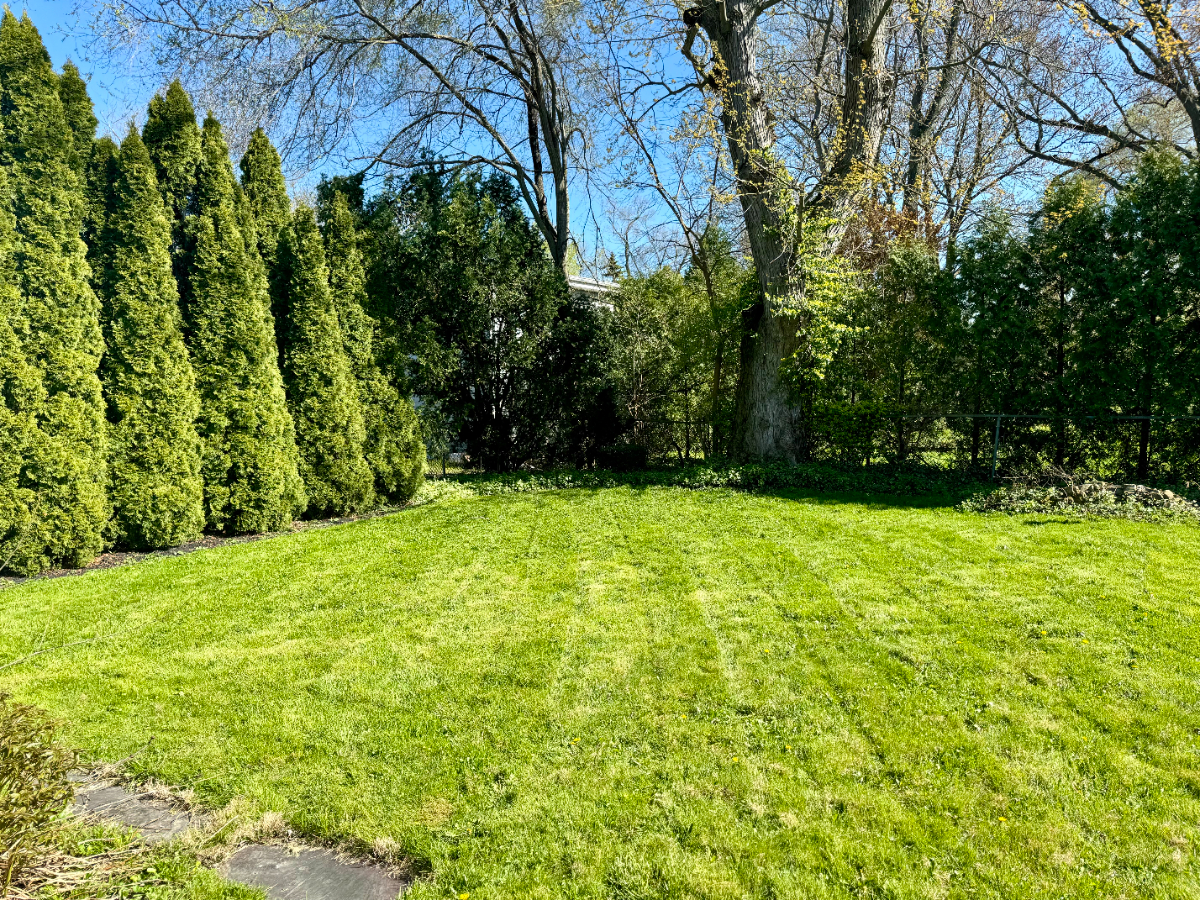 Charming Three Bed Ranch in Lewiston - Photo 4