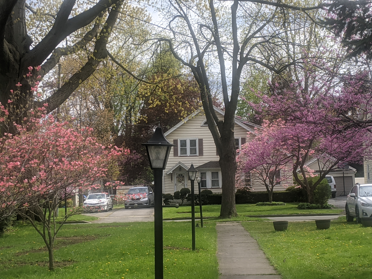 Cozy City Cottage - Photo 12