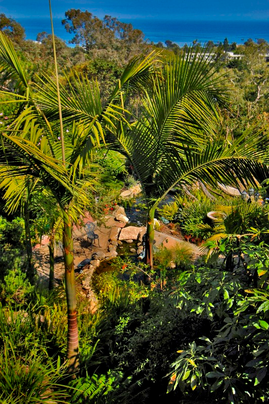 Ocean Vista in Sunny Santa Barbara - Photo 4