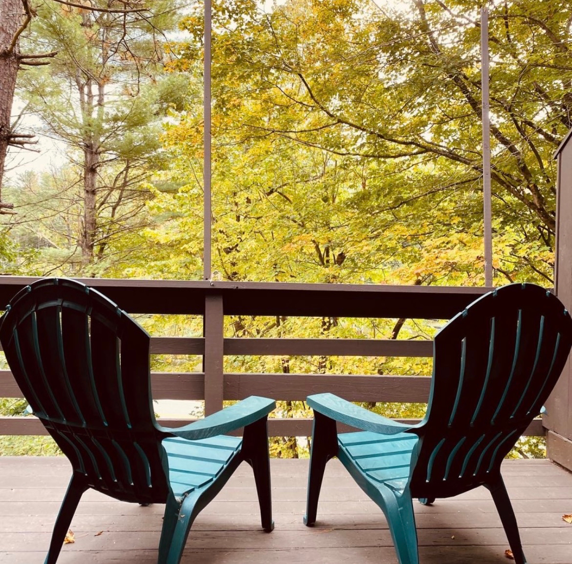 On Q, a condo on the Ottauquechee River - Photo 9