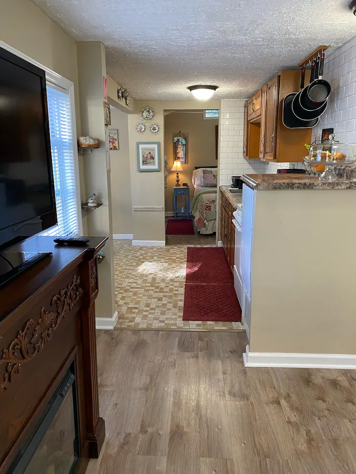 Asheville Cozy Cottage with backyard oasis. Only 10 minutes from Mission hospital and Medical facili - Photo 11