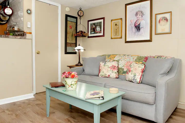 Asheville Cozy Cottage with backyard oasis. Only 10 minutes from Mission hospital and Medical facili - Photo 6