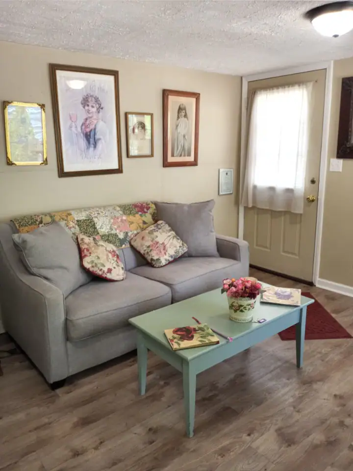 Asheville Cozy Cottage with backyard oasis. Only 10 minutes from Mission hospital and Medical facili - Photo 5