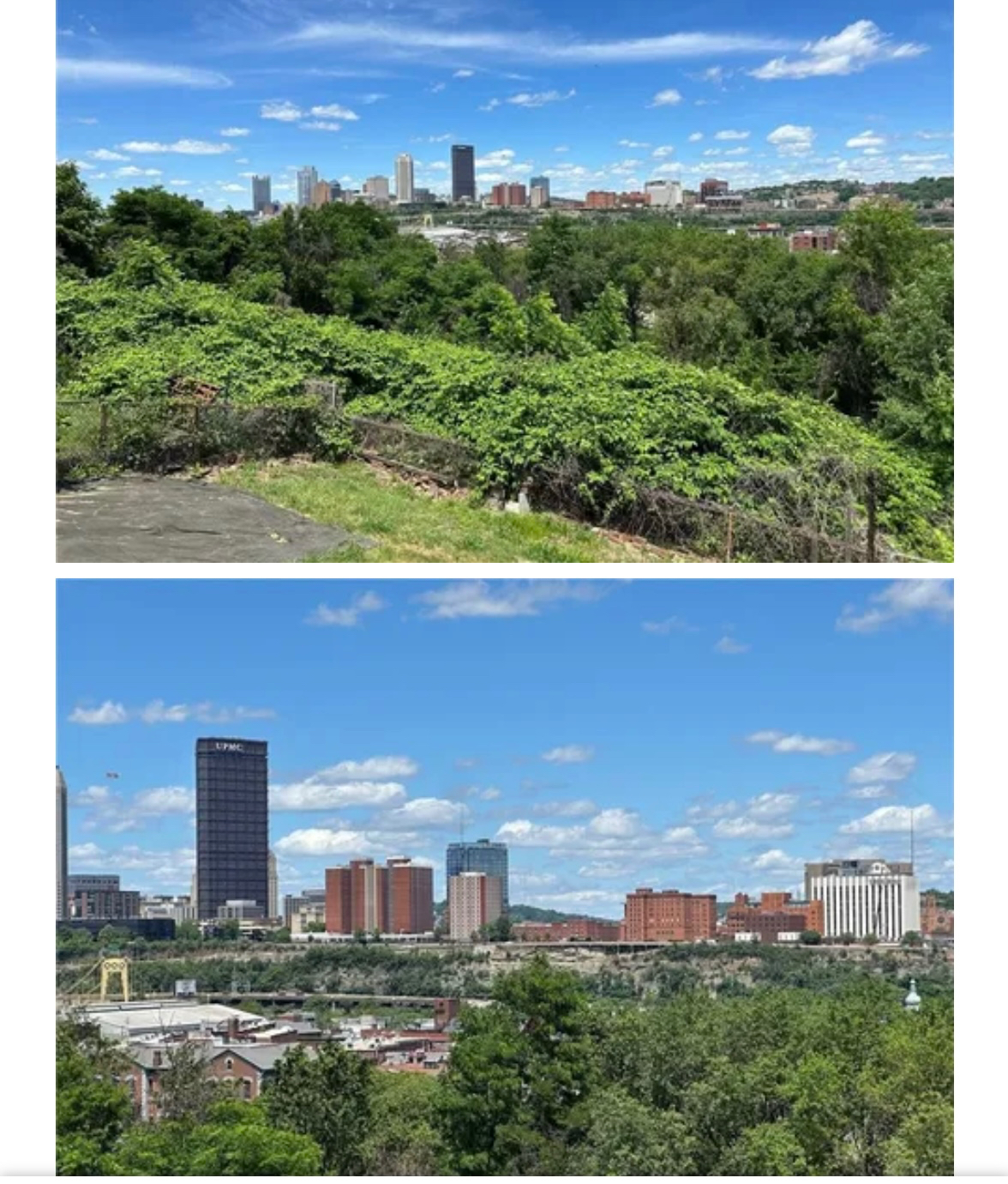 South Side Slopes Suite