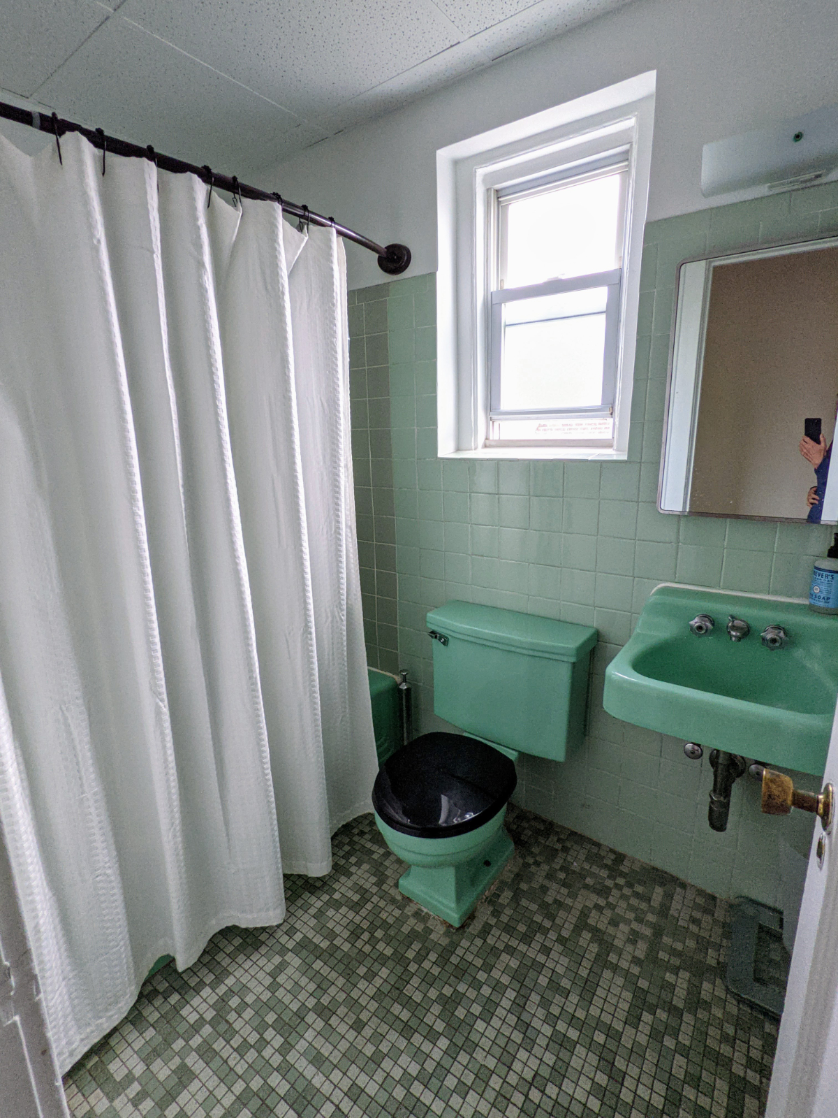 The Treehouse - Stylish Light-Filled 2 Bedroom/1 bath in Jackson Heights,  15 min walk to Elmhurst H - Photo 9
