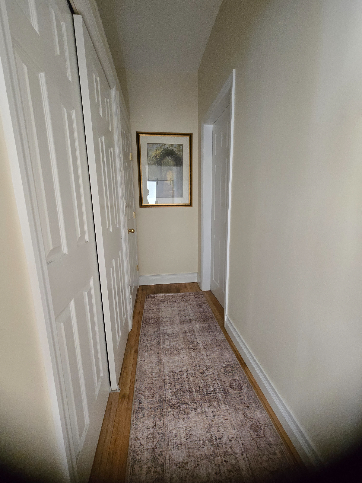 Newly Renovated  1 Bedroom. Great location between Ferries and Main Street, walking distance to Hosp - Photo 10