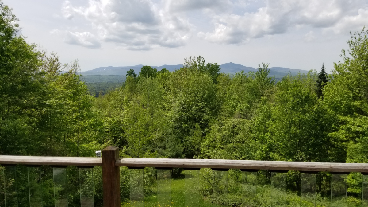 Westwind Mountainside Retreat - Photo 3