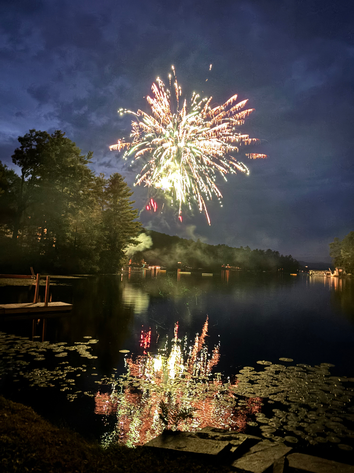 Best View Lakefront home - Photo 4