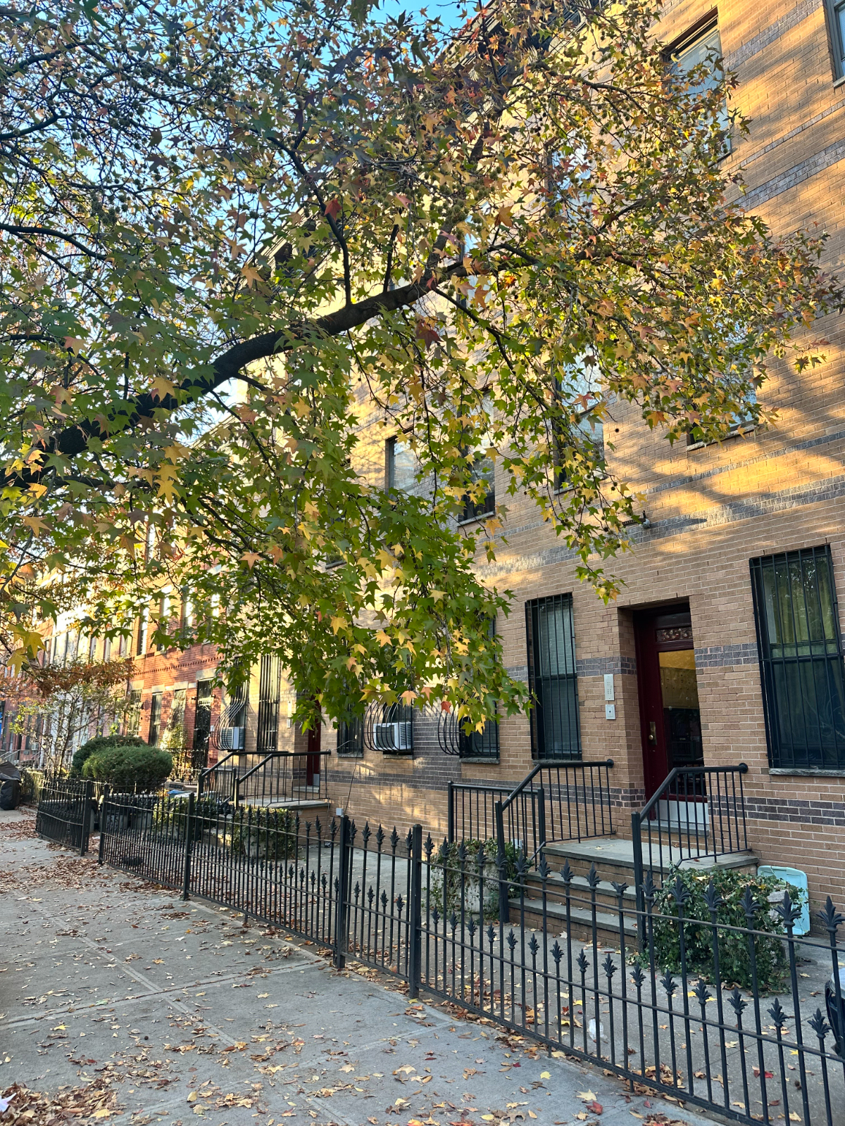 Bed Stuy Urban Oasis - Photo 10