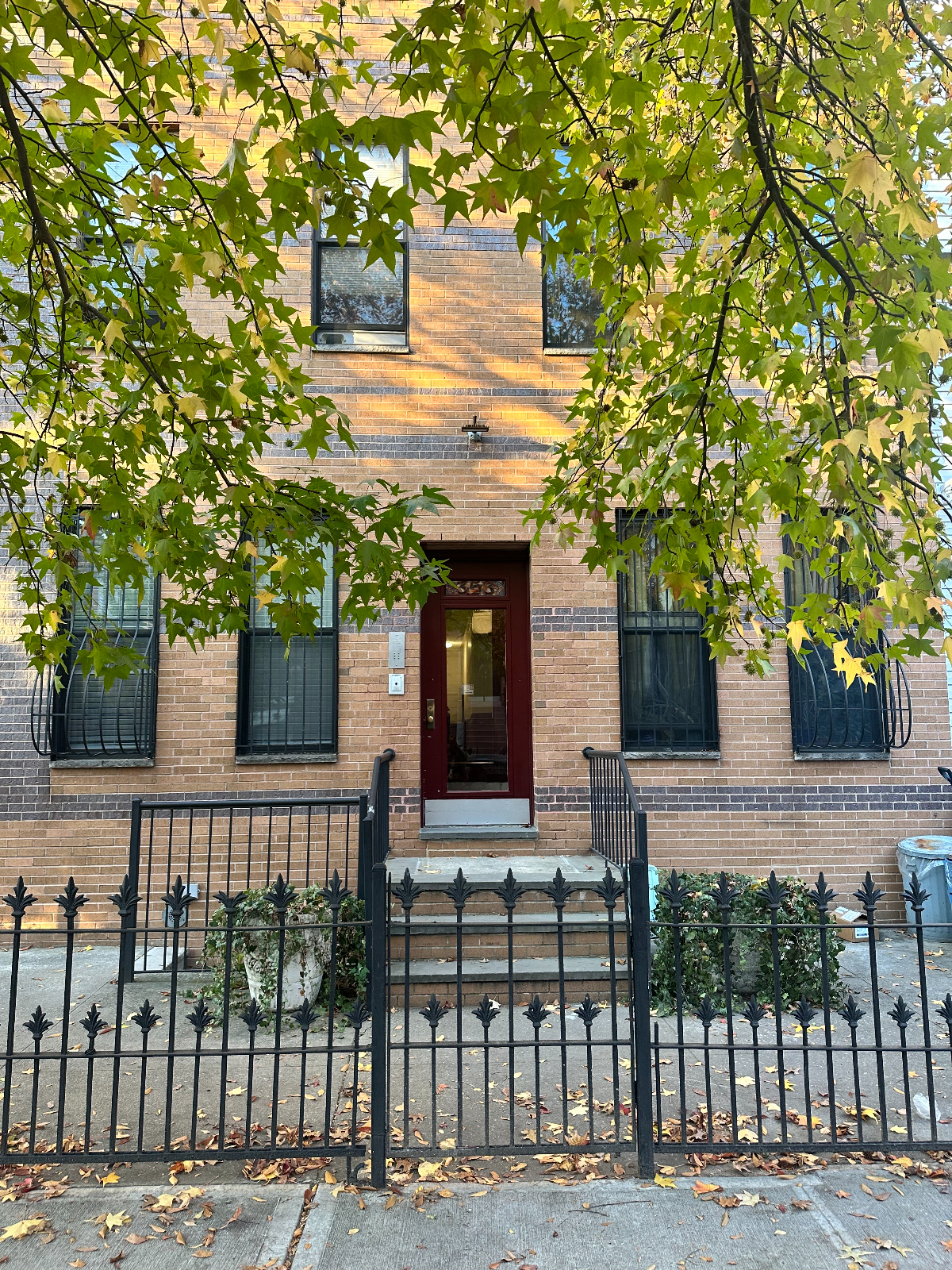Bed Stuy Urban Oasis - Photo 11