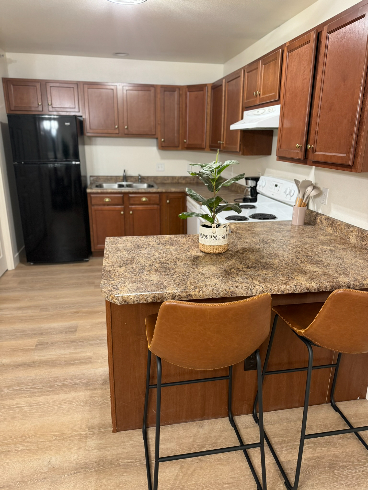 Cozy One Bedroom Apartment - Photo 2