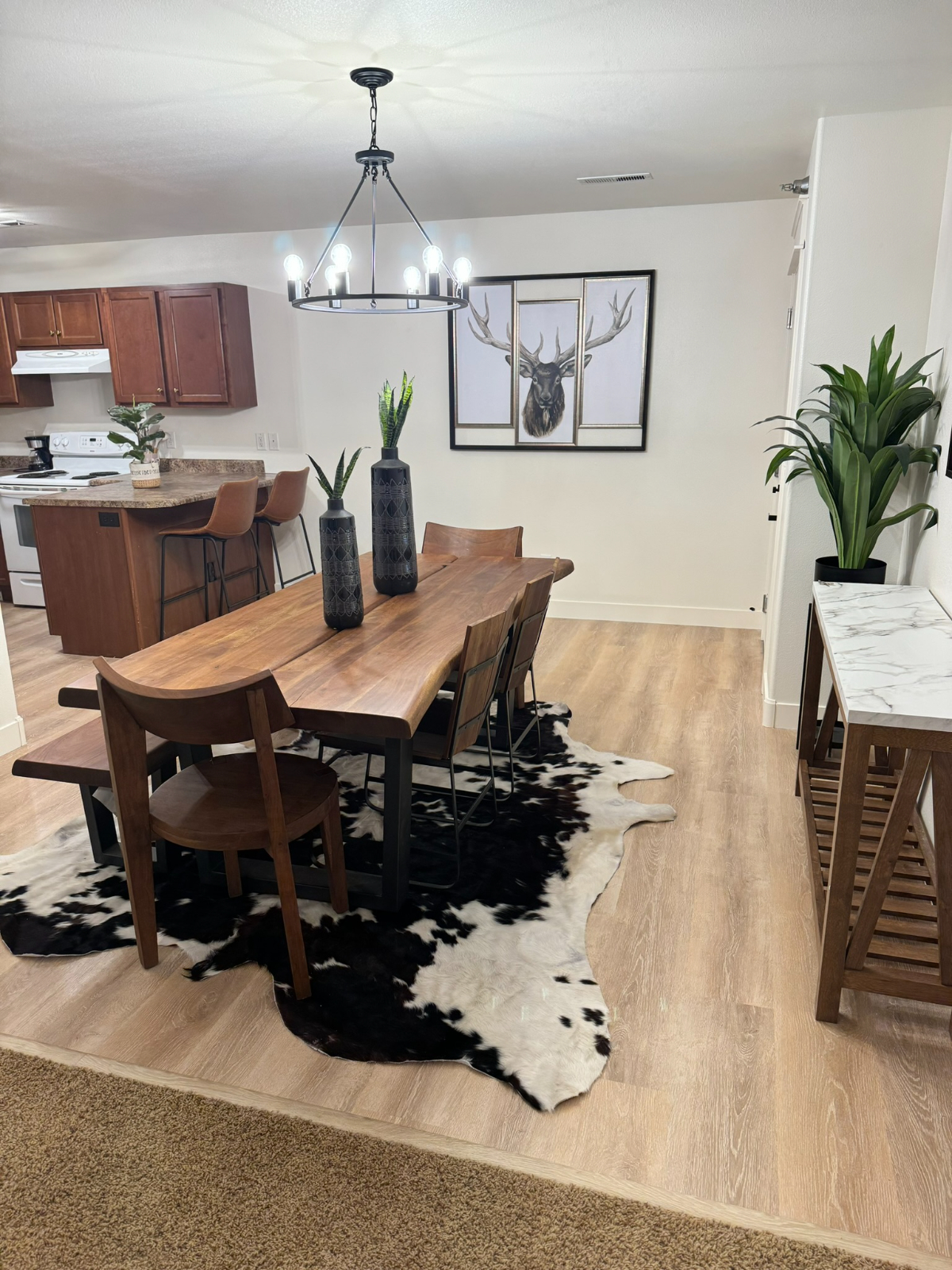 Cozy One Bedroom Apartment - Photo 4