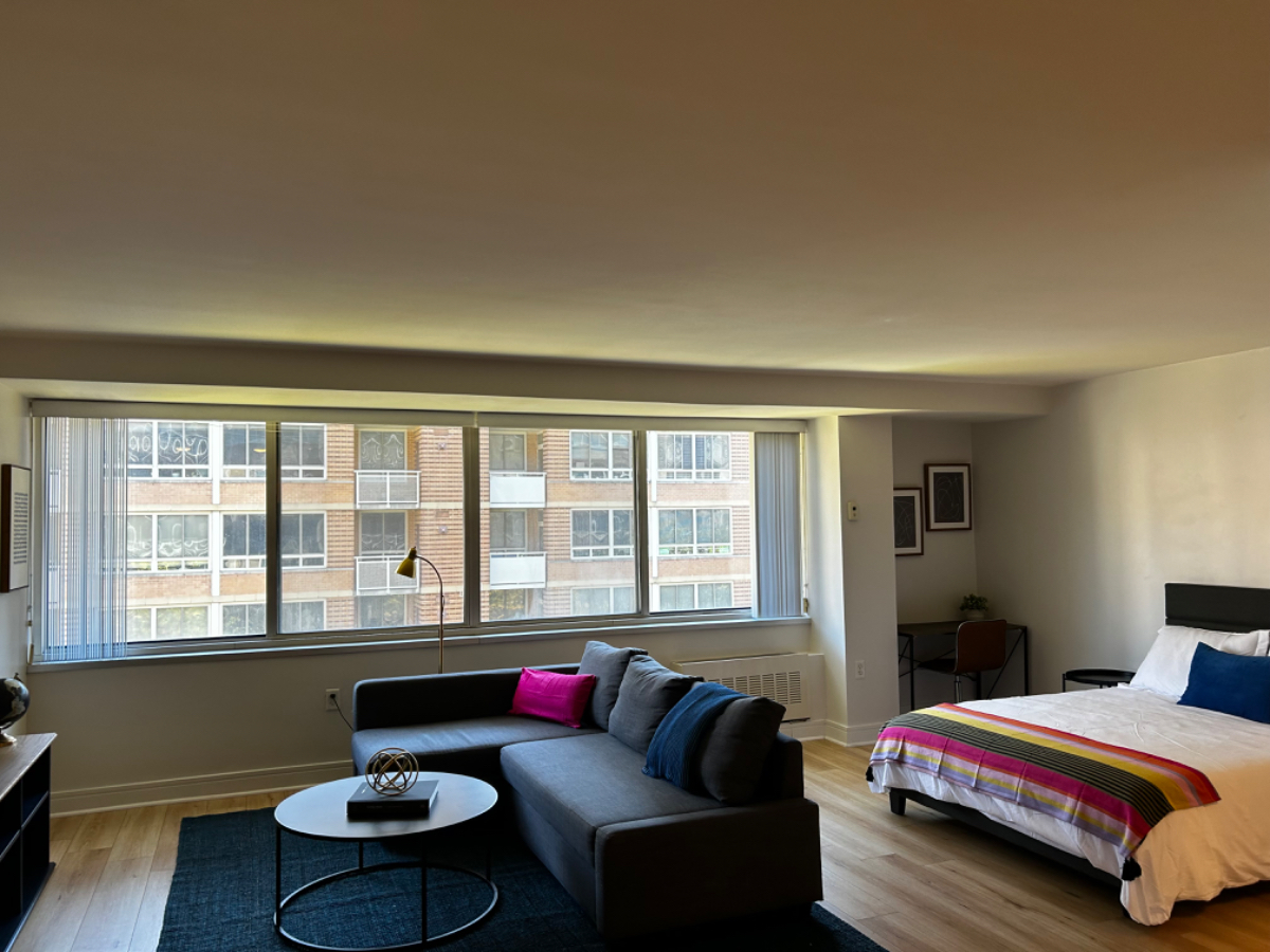 Large light filled studio in the Wharf-Navy Yard neighborhood - Photo 2