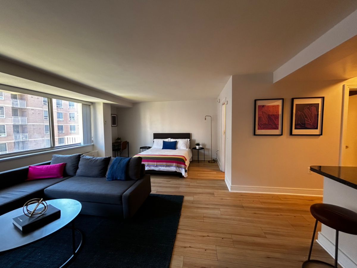 Large light filled studio in the Wharf-Navy Yard neighborhood - Photo 1