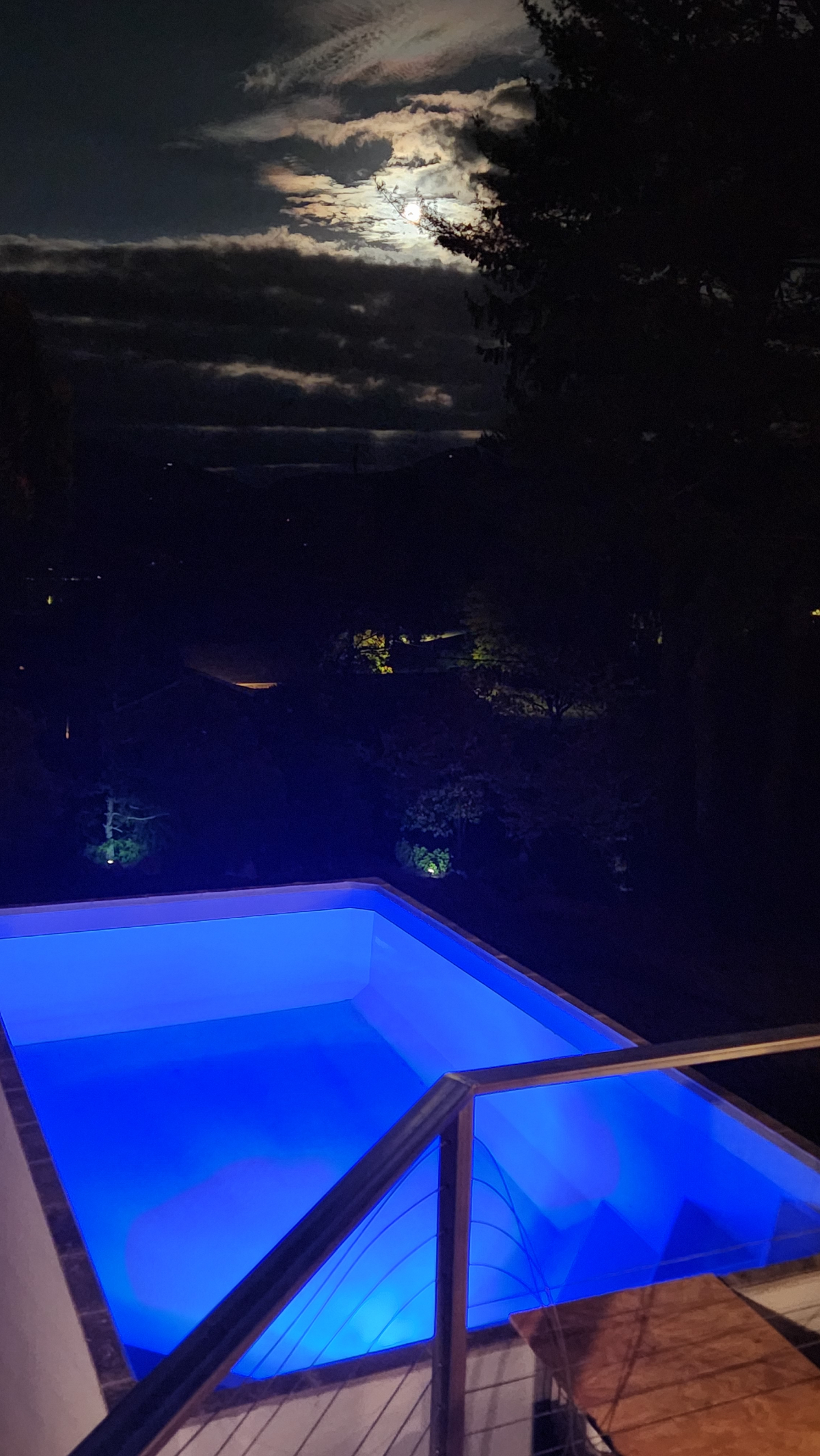Pet-friendly 2 bedroom. Mountain & Lake Views. Heated Pool. Close to downtown. - Photo 7