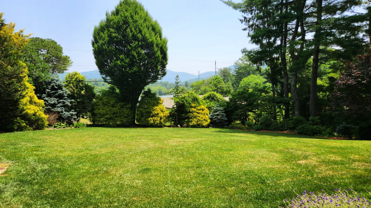 Pet-friendly 2 bedroom. Mountain & Lake Views. Heated Pool. Close to downtown. - Photo 6