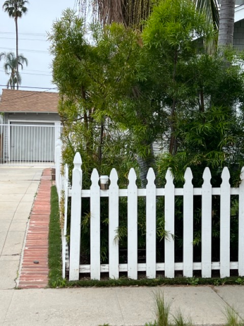 Gorgeous/Renovated 2 Bd/2bath House- Big Updated Yard - Photo 1