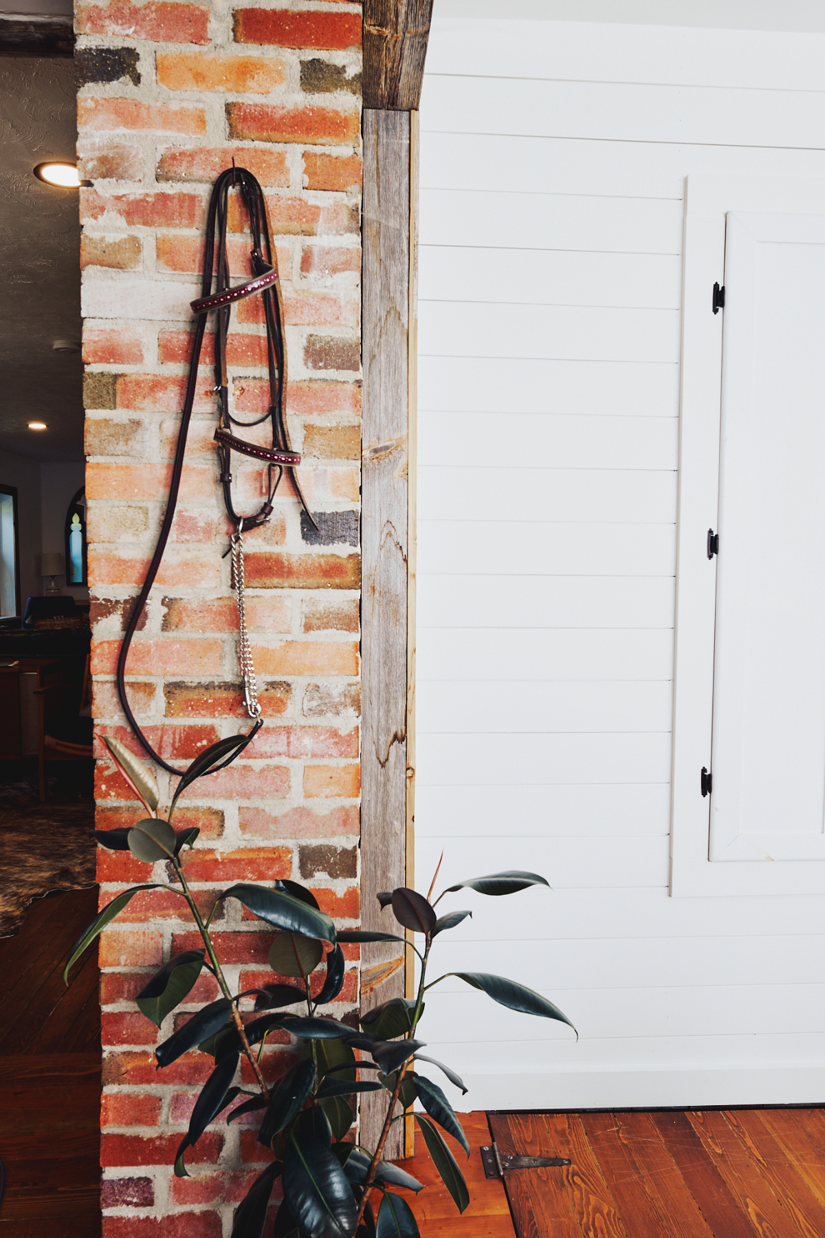 The Big Horn Cottage - Photo 8
