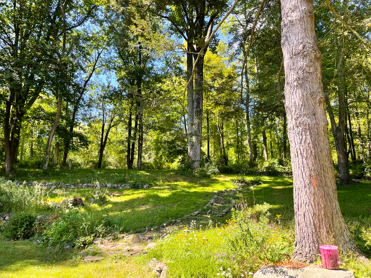 Cozy and  Fun New Paltz Retrea with 2 Acres of Privacy - Photo 9