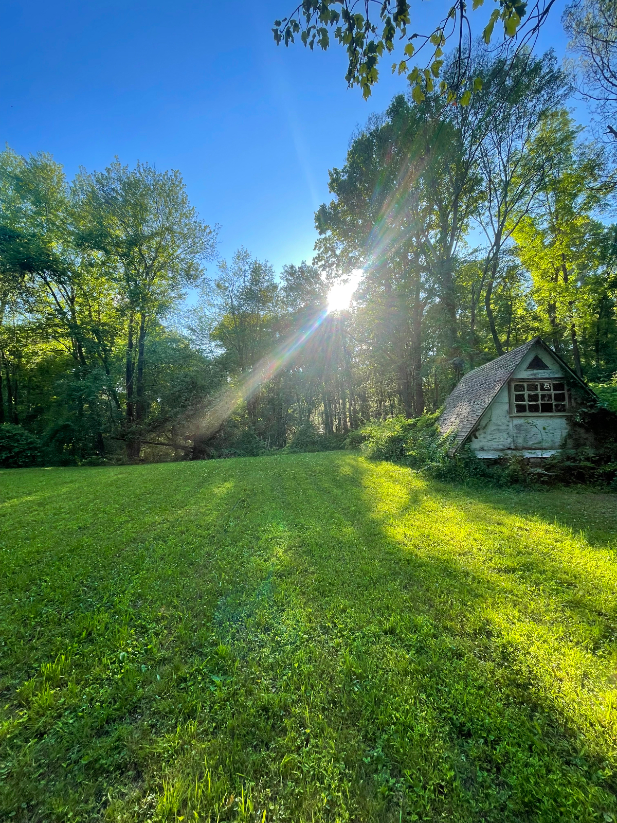 Cozy and  Fun New Paltz Retrea with 2 Acres of Privacy - Photo 10