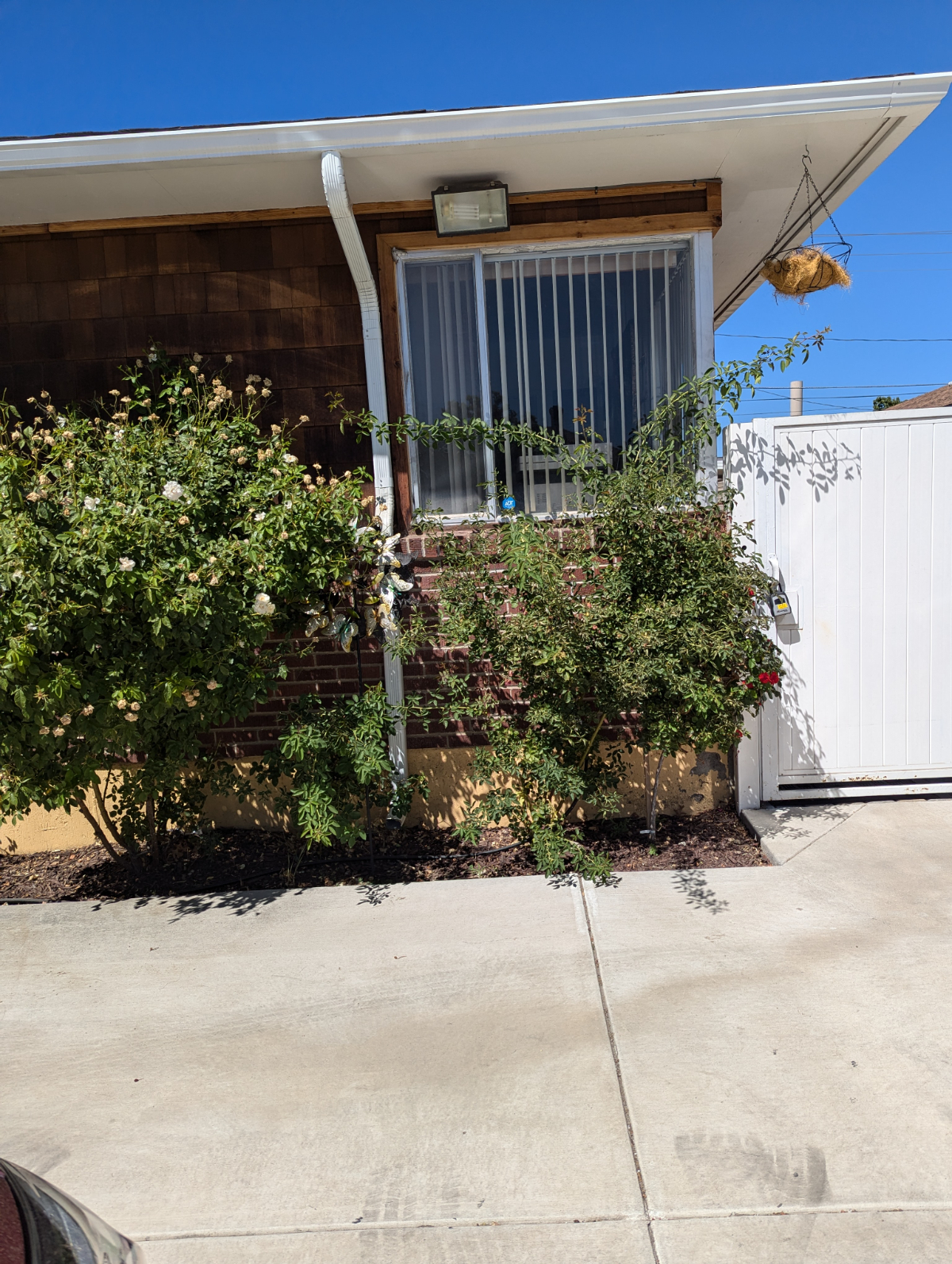 Midtown  Reno Basement apartment