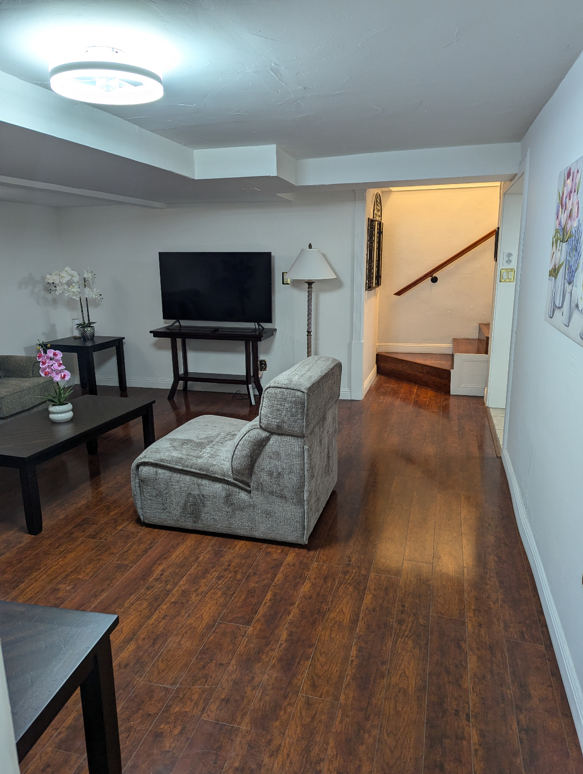 Midtown  Reno Basement apartment - Photo 12