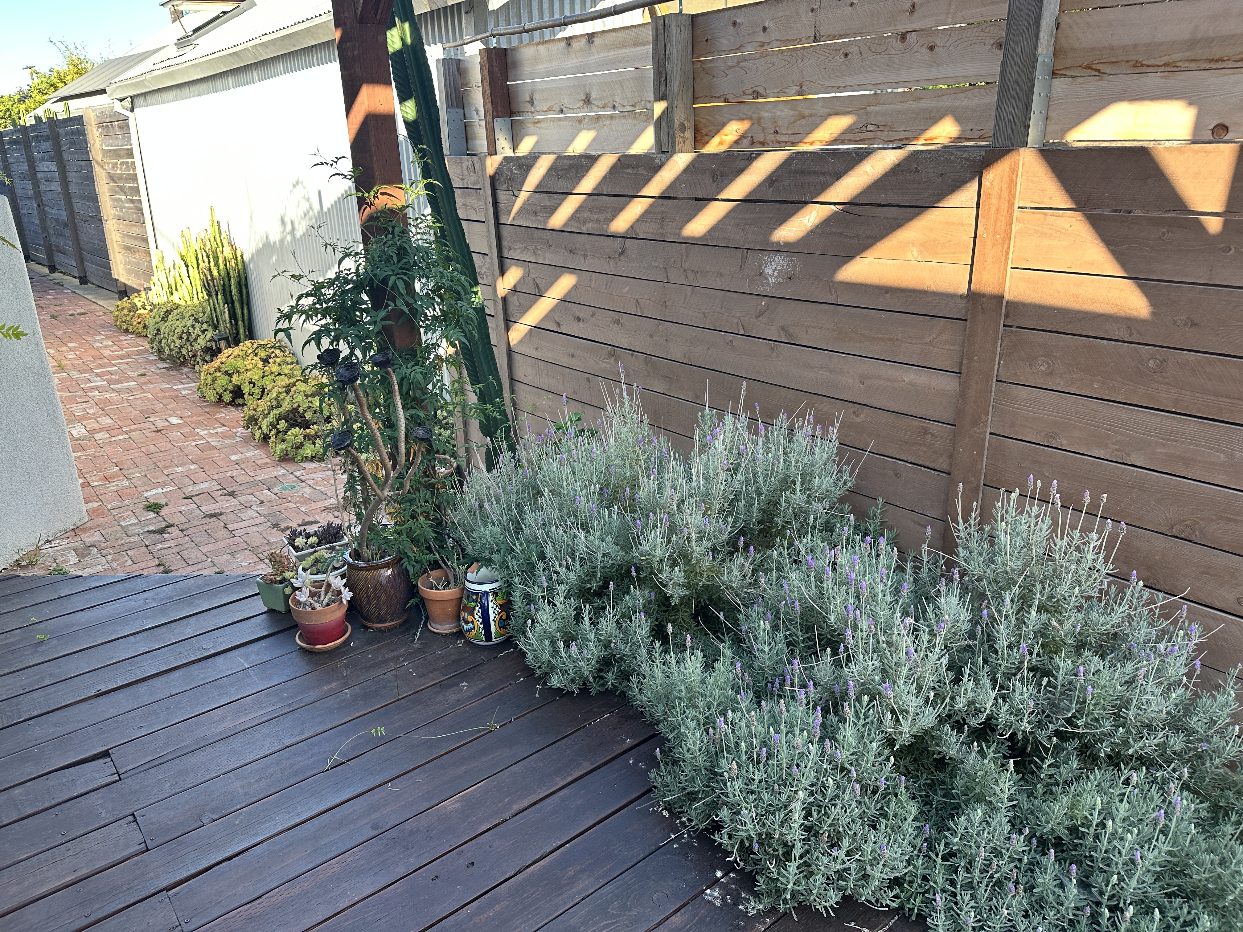 King-size one-bedroom home with covered deck, patio, fruit trees and greenery. Very private. - Photo 5