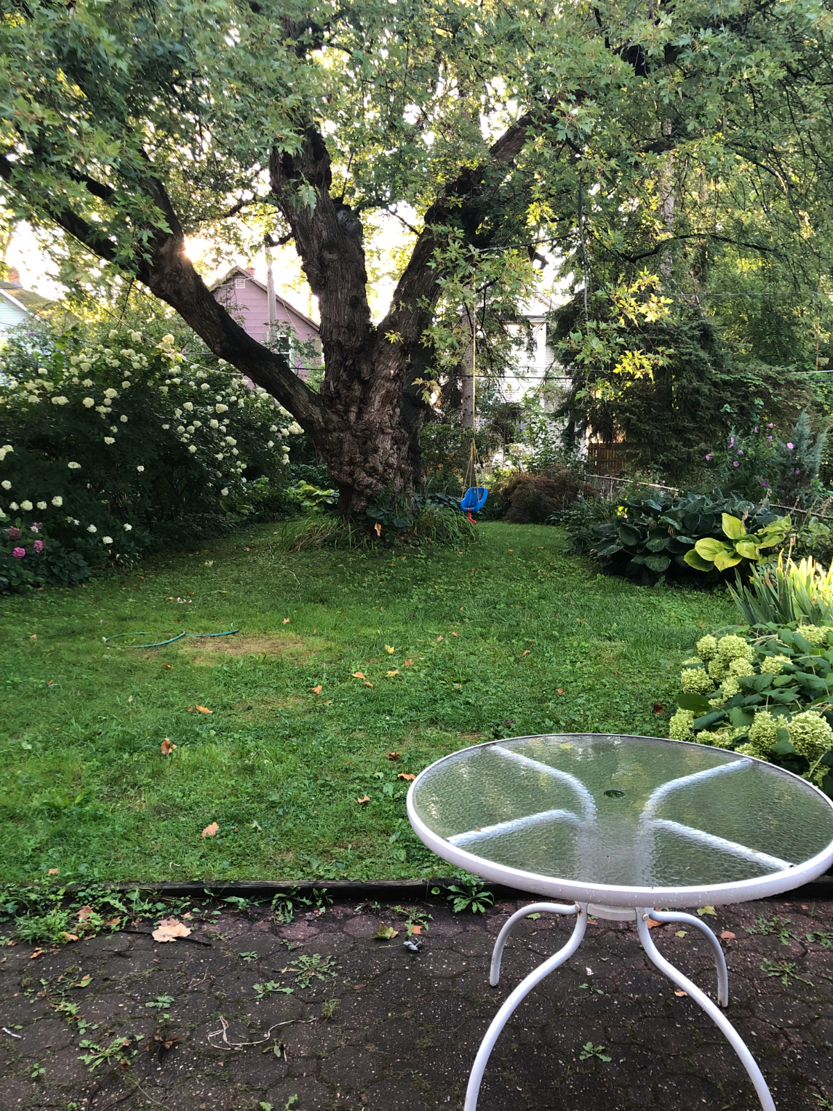 Charming 2 bedroom South Wedge home - Photo 4