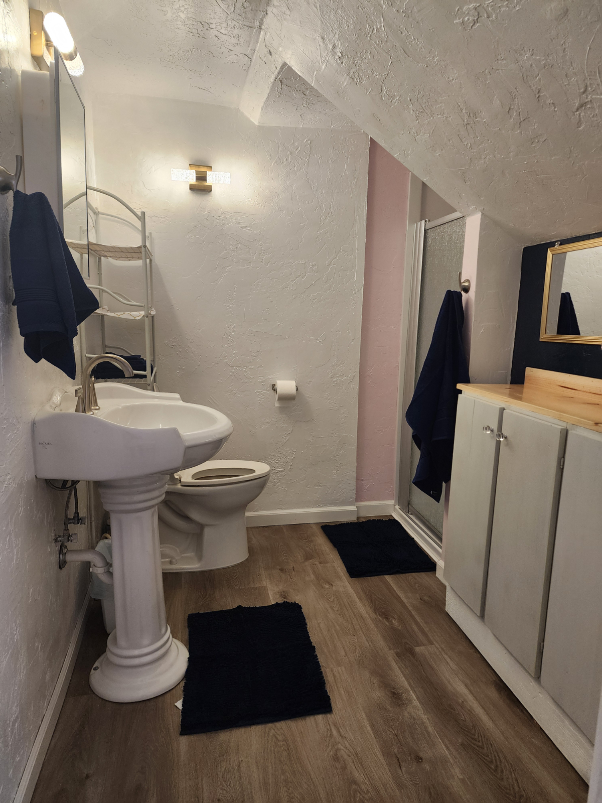 Pink Palace - Photo 6