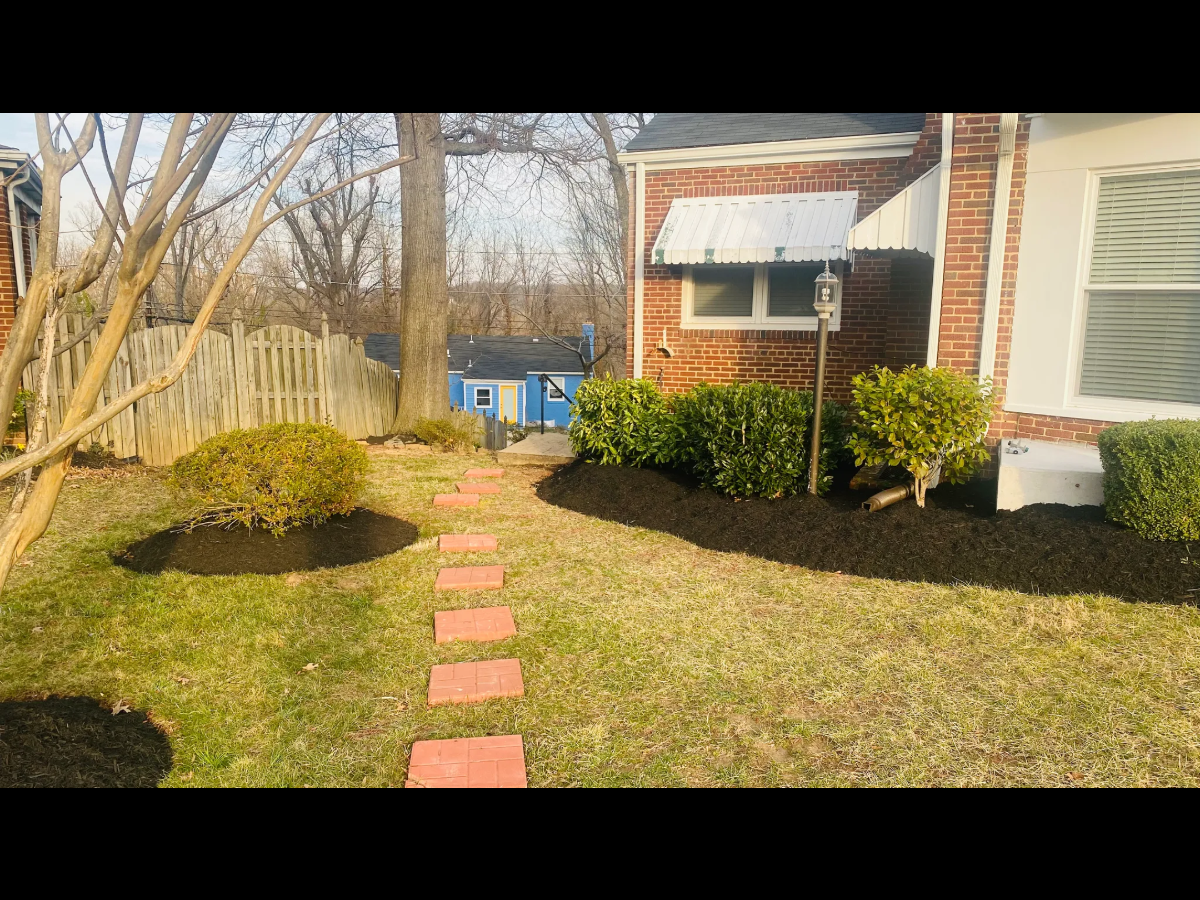 Convenient DC lower level apartment quiet neighborhood with lots of natural light! - Photo 3