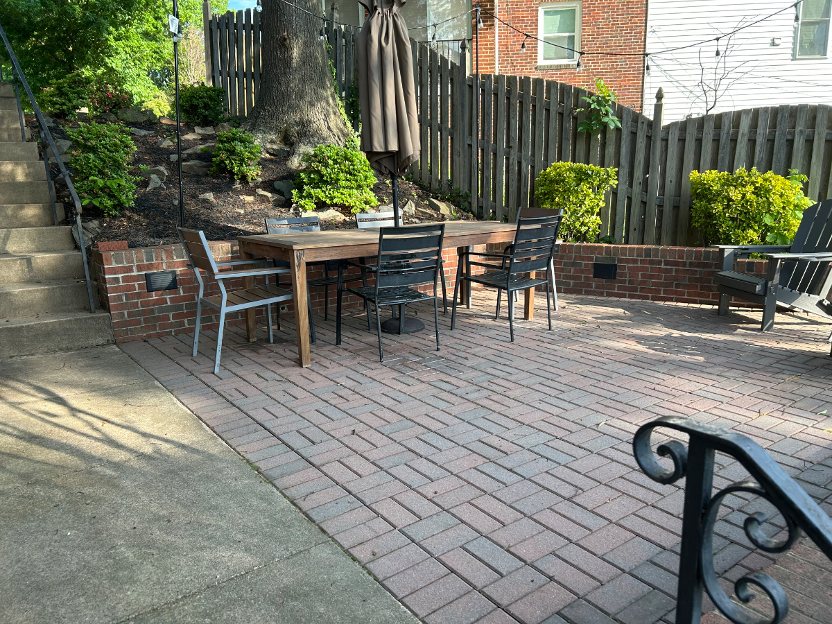Convenient DC lower level apartment quiet neighborhood with lots of natural light! - Photo 5