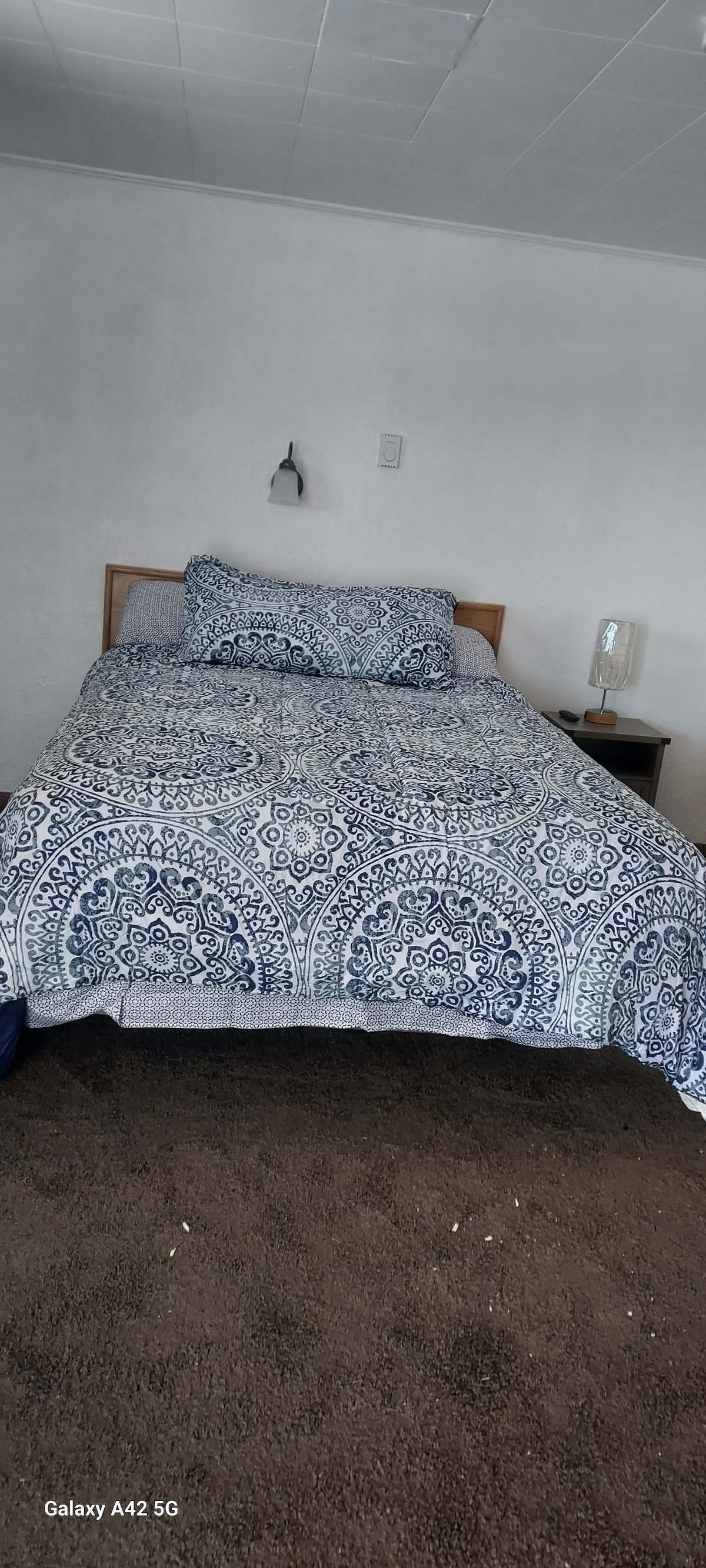 Apartment 23