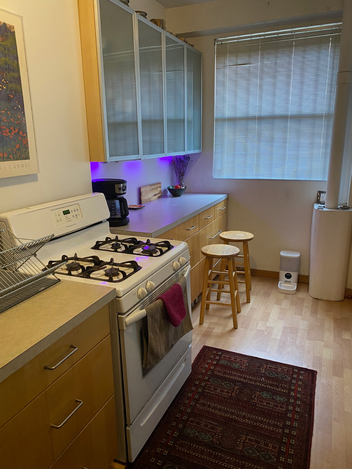 Lovely Garden Apartment - Photo 7