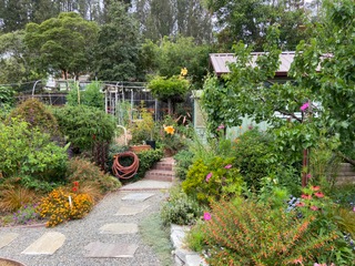 Lovely Studio with Skylight & Lush Garden Minutes from the Beach and Hospitals - Peaceful Santa Cruz Gem - Photo 6