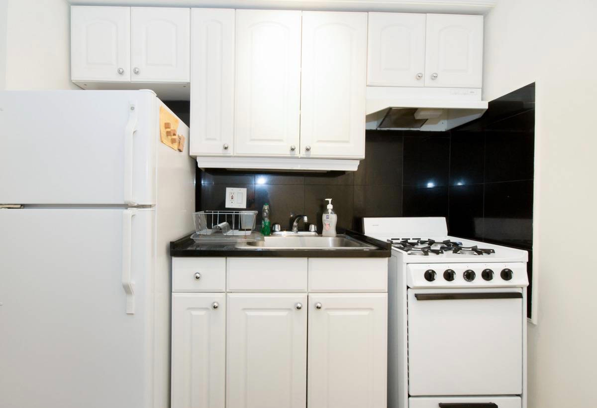 Architecturally Designed Centrally Located on Upper East Side and Fully Furnished Spacious Apartment - Photo 5