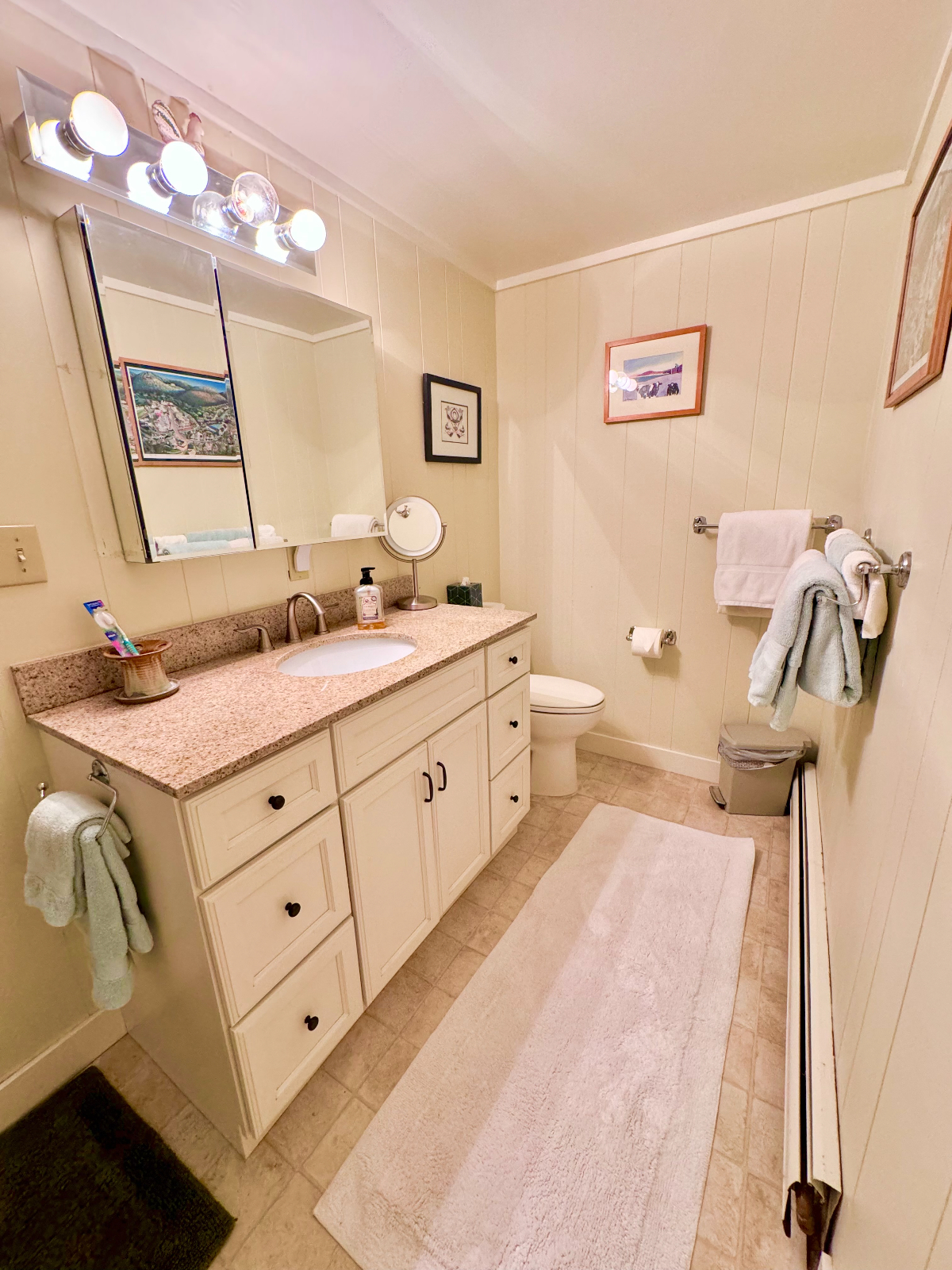 1 BDR Apt with Mountain View & great WIFI near Middlebury Vermont - Photo 6