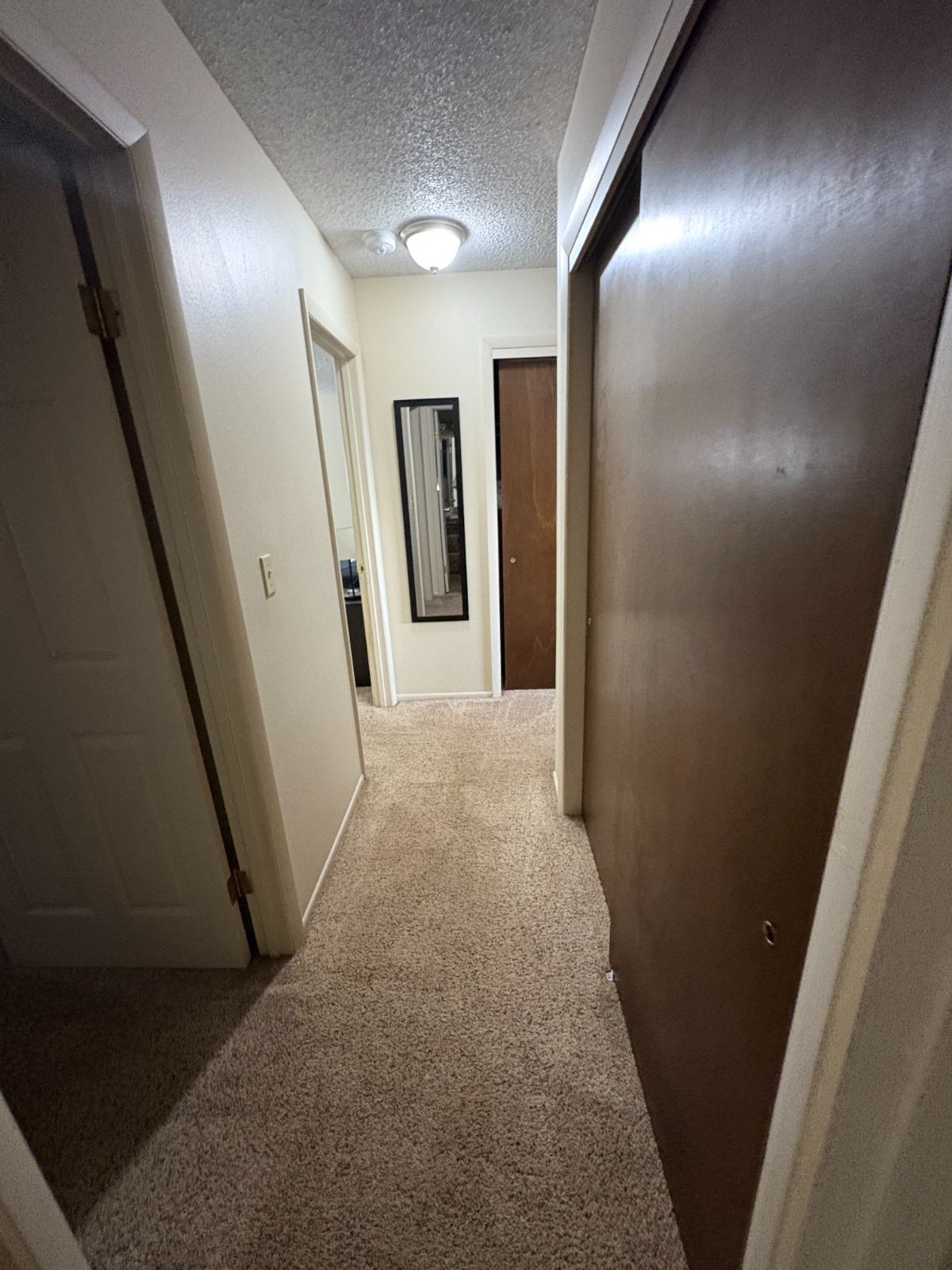 Blackmore Abode - Photo 9