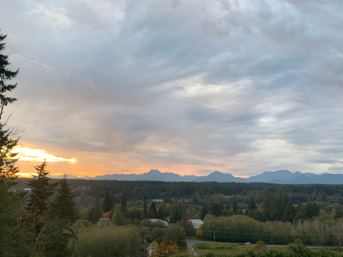 Misty Ridge 1
