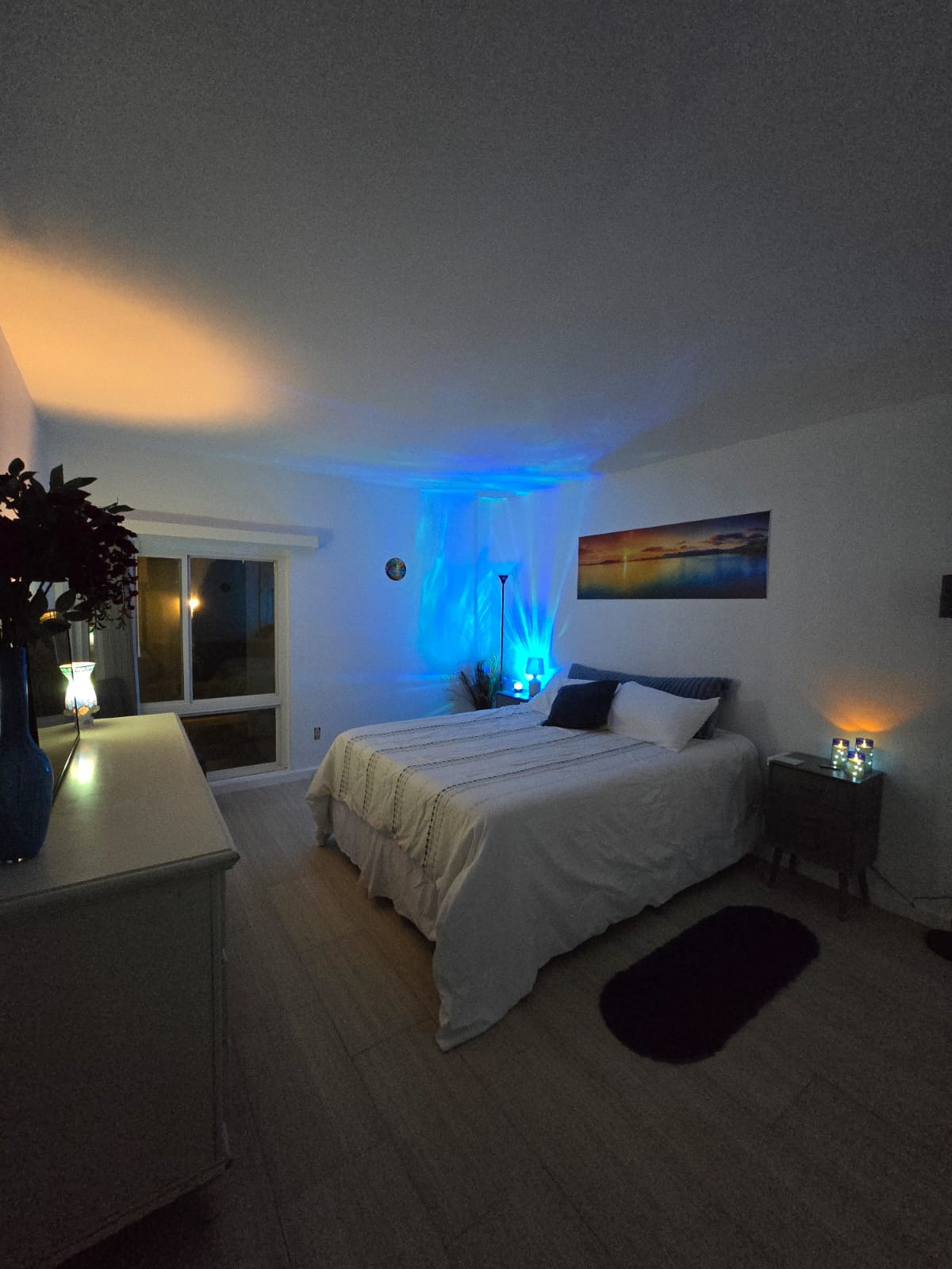 Blossom Walk Condominium tranquil newly renovated 1bed/1bath - Photo 3