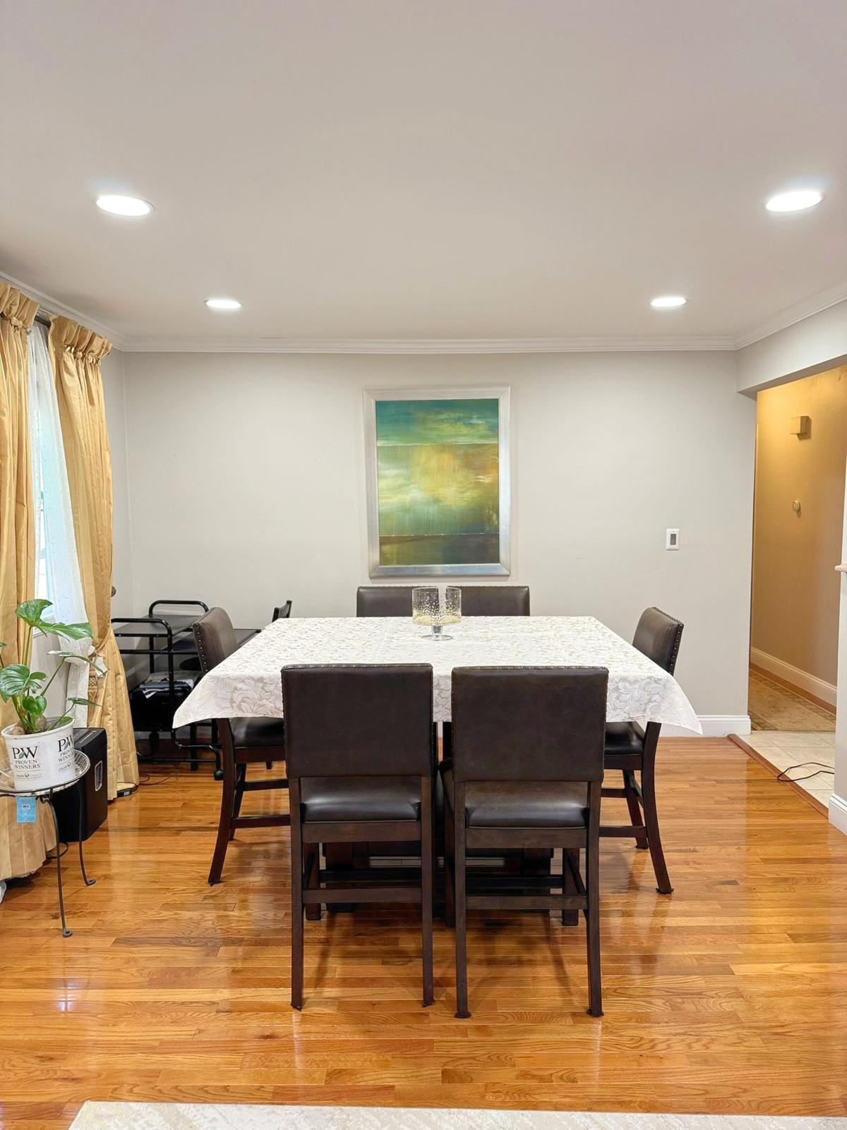 Queens Luxury Oasis Ten Minutes from JFK Airport - Photo 2