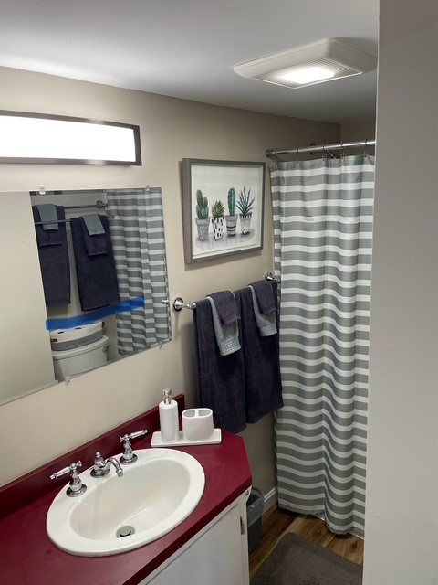 Sunny, One Bedroom Home with Modern Touches  & Prime Location - Photo 7