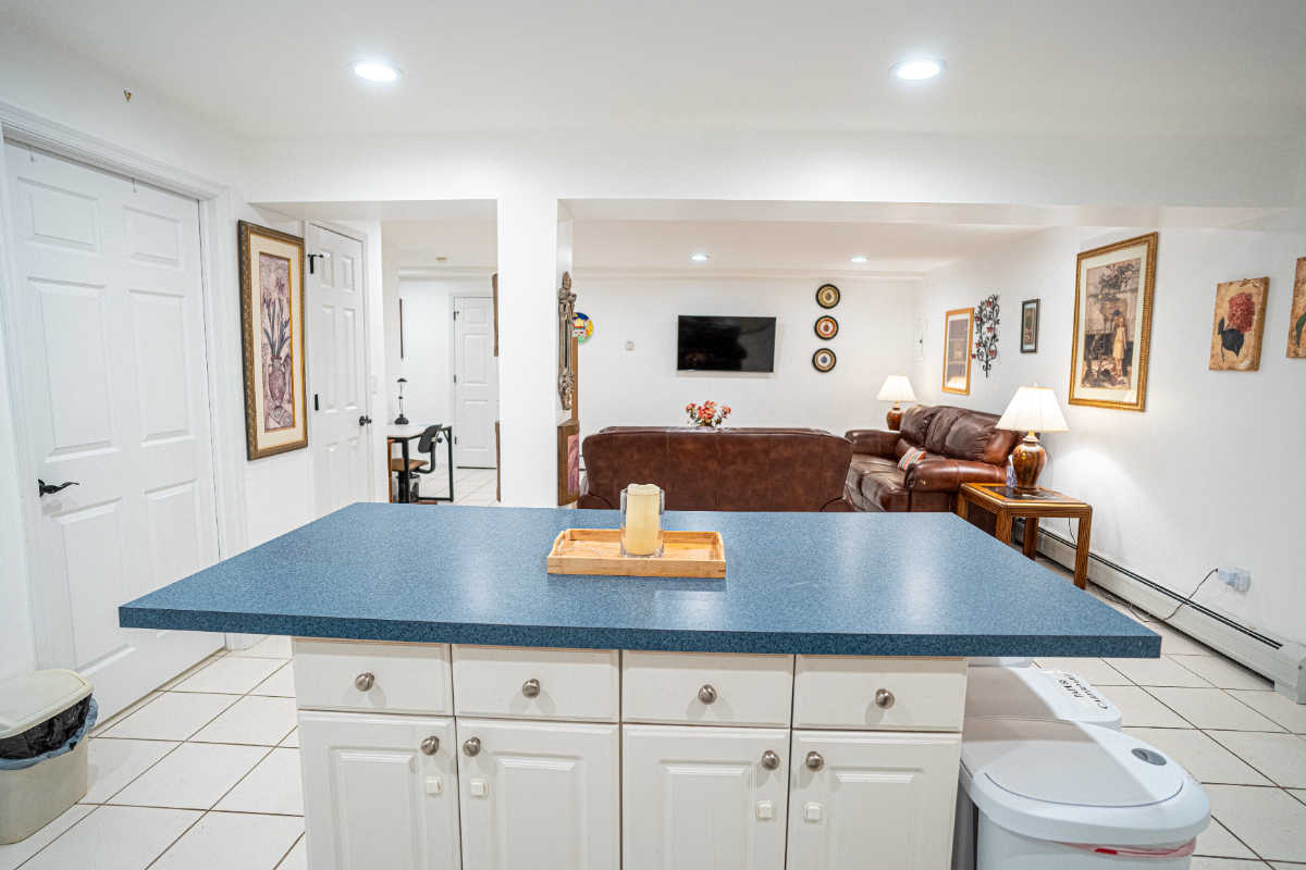 Large One Bedroom/One Bath Basement Apartment with Private Entrance - Photo 4