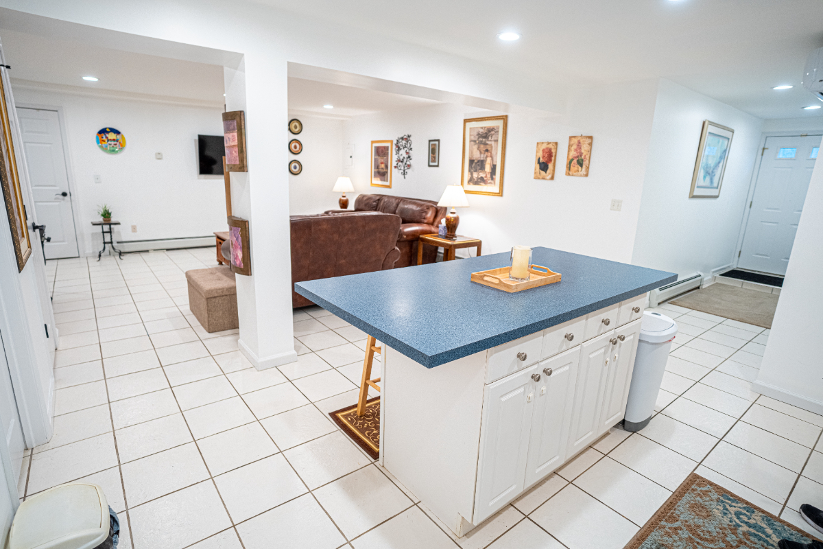 Large One Bedroom/One Bath Basement Apartment with Private Entrance - Photo 5