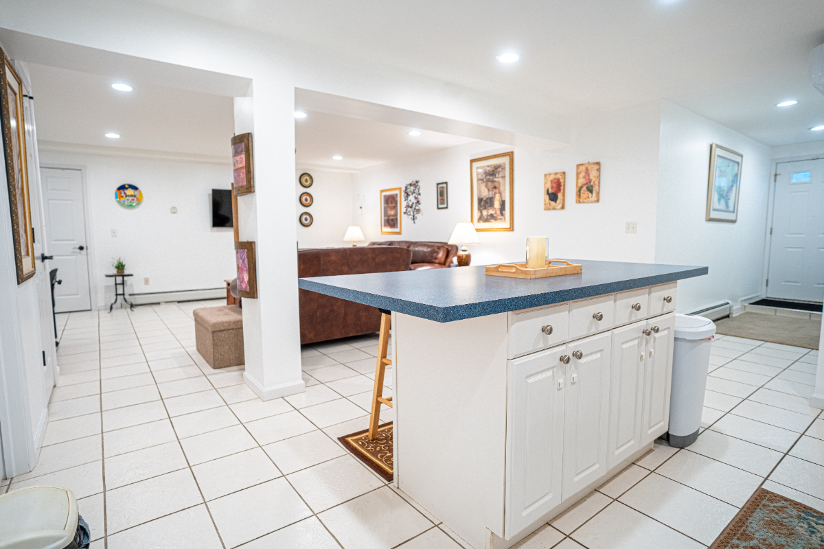 Large One Bedroom/One Bath Basement Apartment with Private Entrance - Photo 6