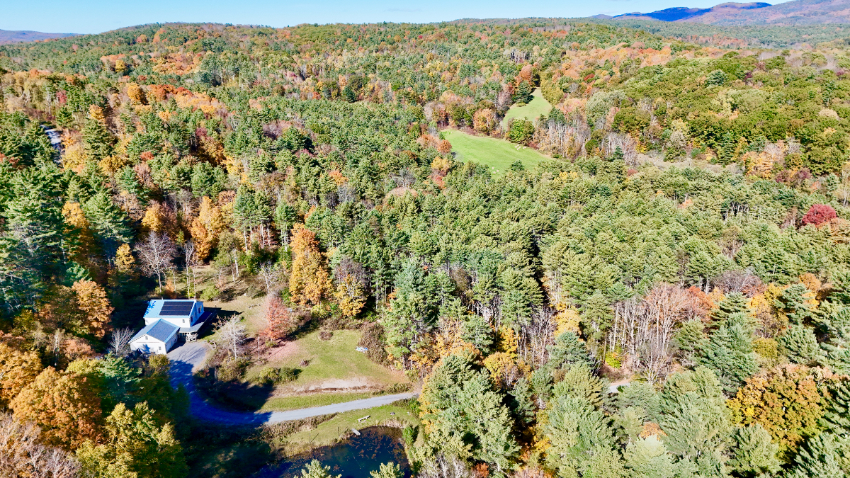4 Bedroom House with Pond on 50 acres in Castleton - Photo 2