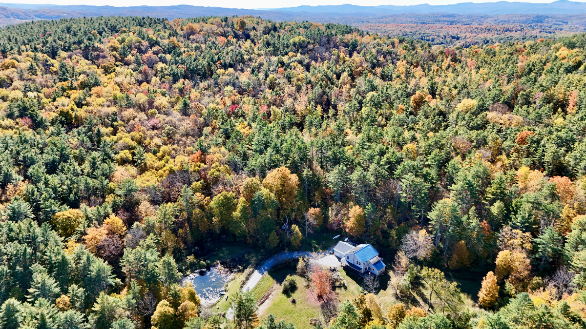 4 Bedroom House with Pond on 50 acres in Castleton - Photo 3