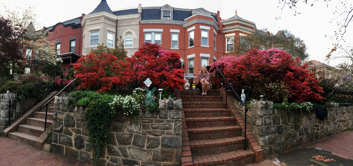 Bedroom - Historic Capitol Hill Home. Eastern Market/Navy Yard/Barracks Row - Photo 2