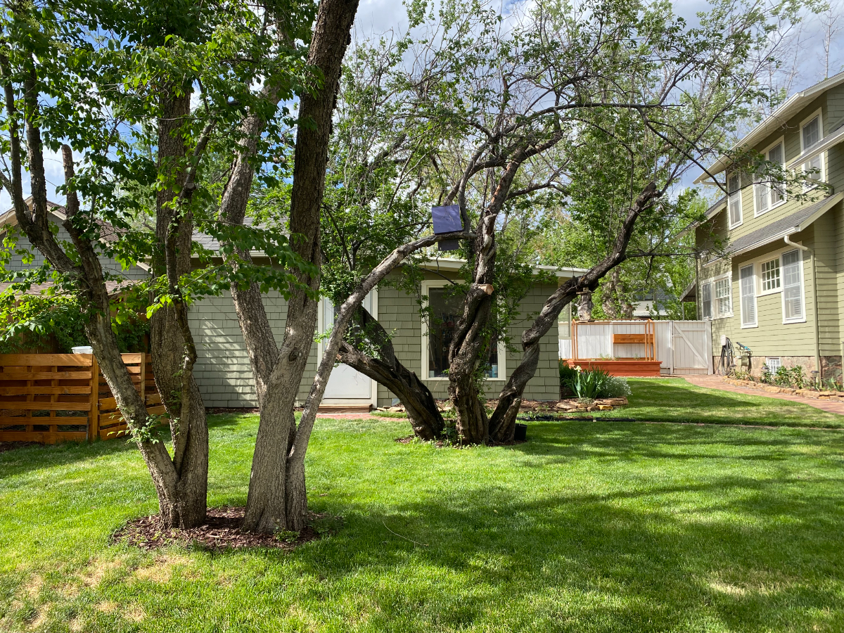 Classic Home In Wonderful Neighborhood - Photo 5