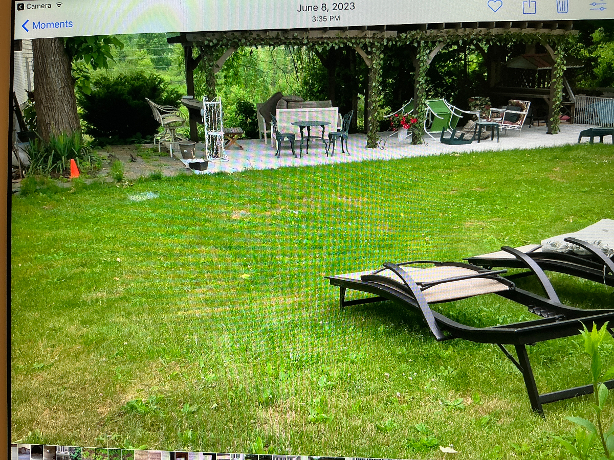 Rooms for rent / Rhinebeck/historical Dutch colonial close to town / quiet neighborhood - Photo 4